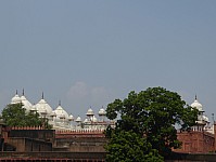 Rotes Fort - Perlenmoschee