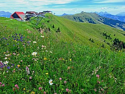 Im Skigebiet Jochberg/Kitzbühel