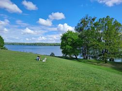 Werbellinsee 