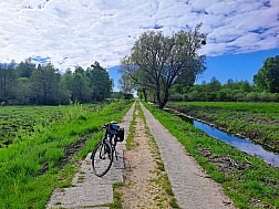 Endlos Betonplatten