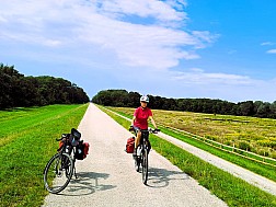 Endlose Gerade auf dem Donaudeich 